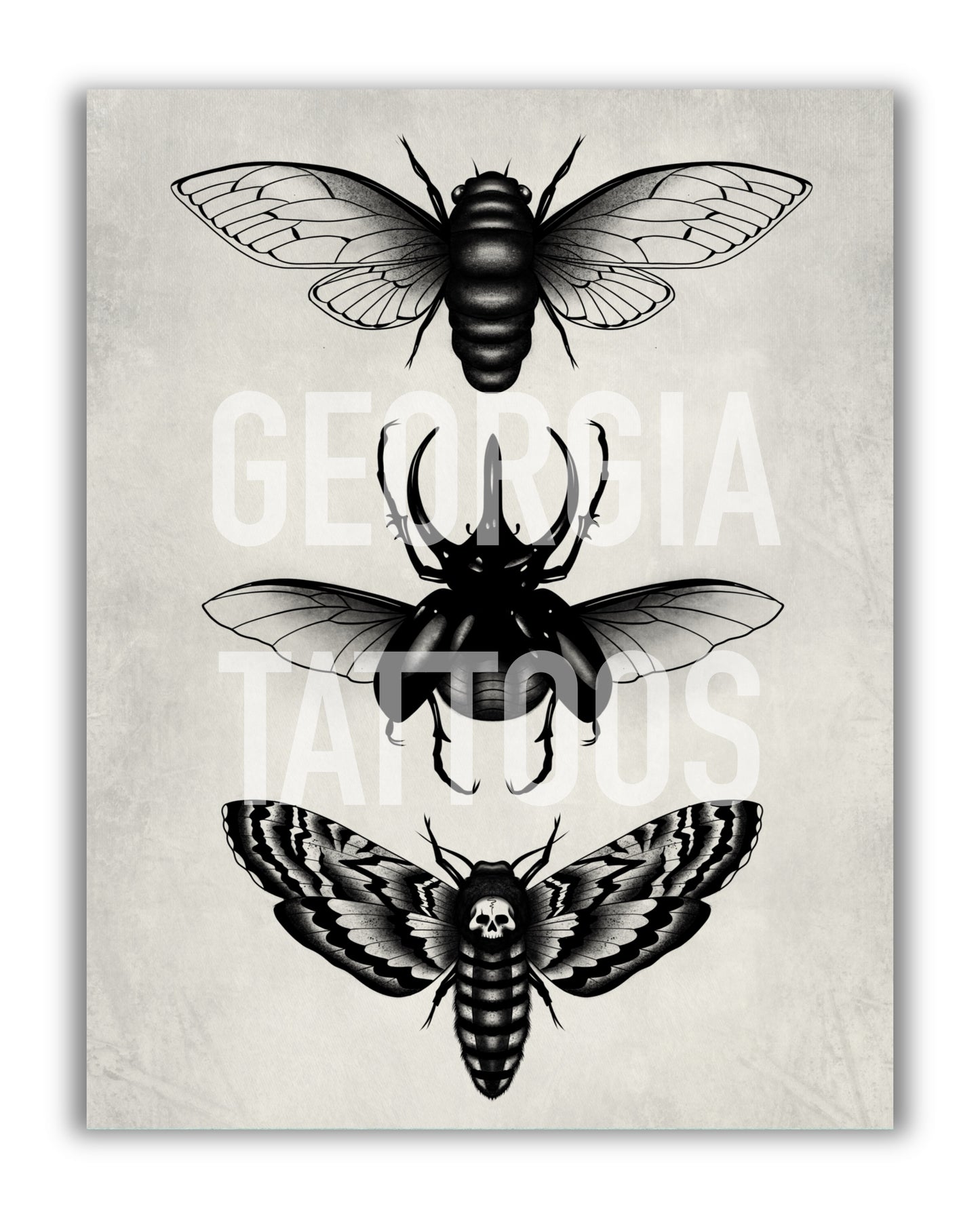 Beetle Print