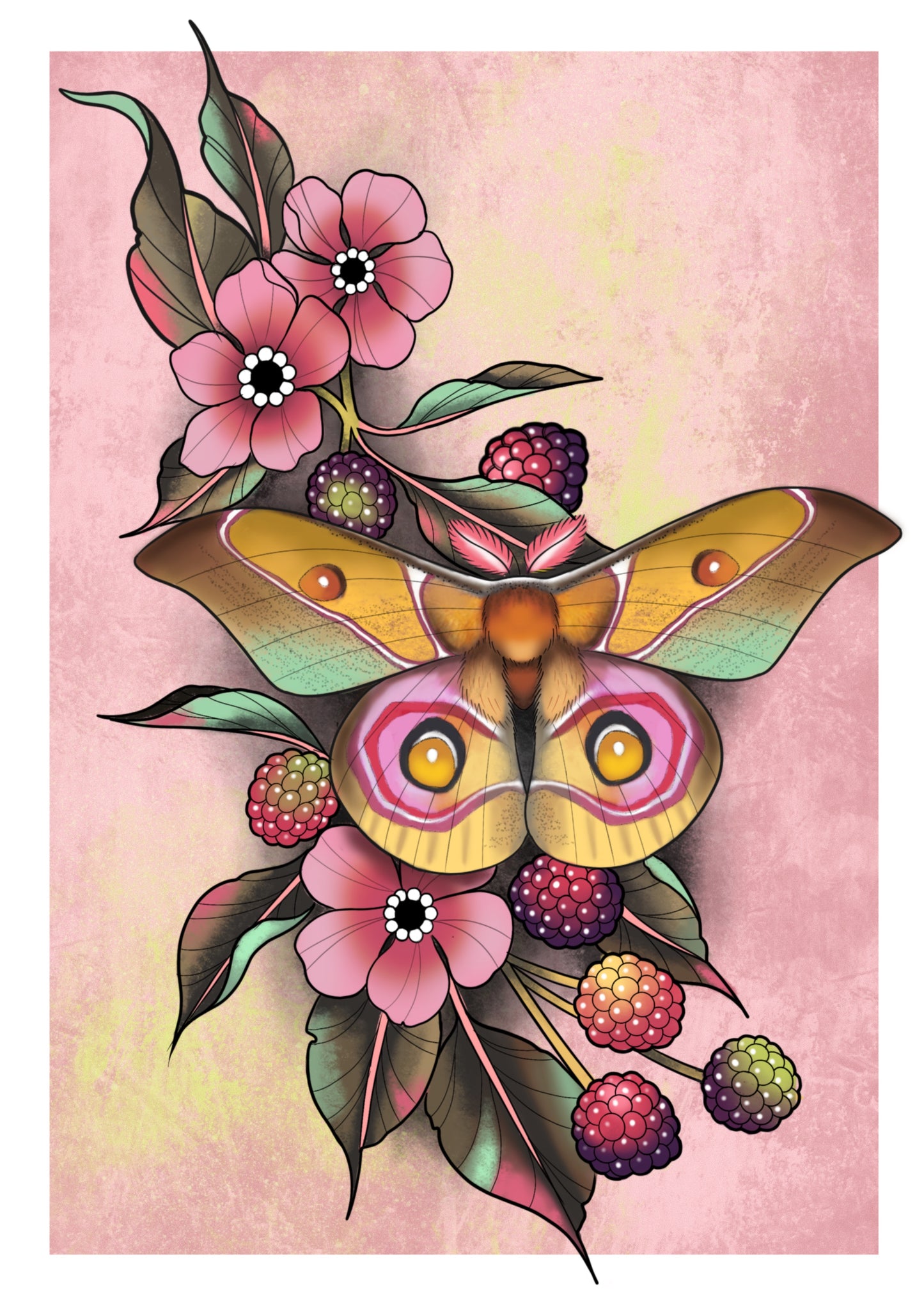 Colourful Moth Print