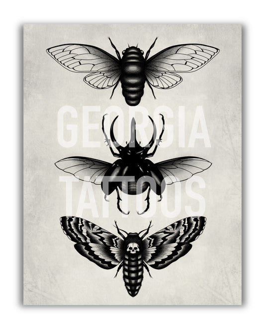 Beetle Print